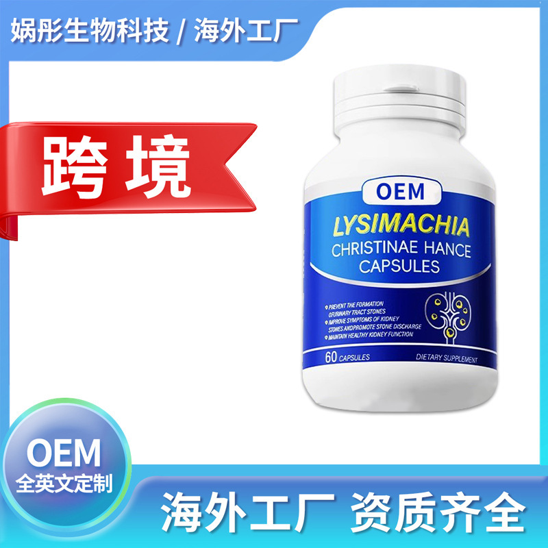 Overseas factory OEM lysimachia liver and kidney care tablets oem/odm cross-border full English processing can be customized
