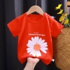 TX, Маленькая хризантема