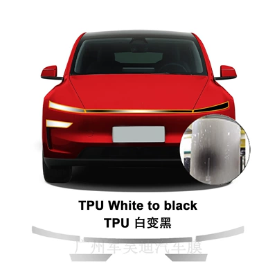 2025 Refreshed Model Y-Juniper | Car headlight protective film