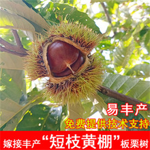 ���S�_������������������ص��Ա����Ϸ�ͥԺ�Nֲ����Y������