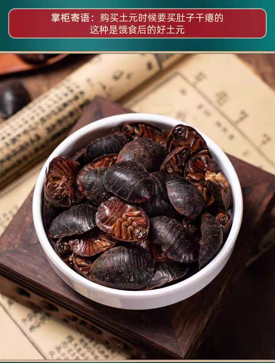 Tu Yuan (Eupolyphaga sinensis) — Dried Ground Beetle Herb, 500g Food-Grade in use