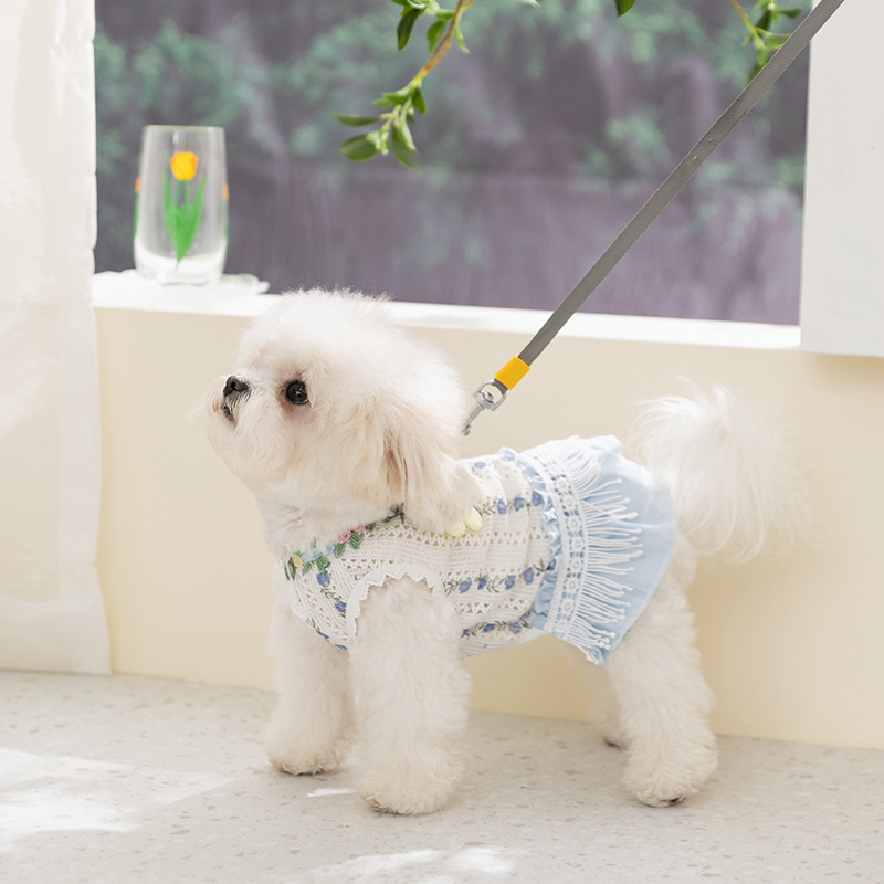 Vêtements pour chiens style coréen printemps-été, robe à franges festive pour chiens de petite et moyenne taille, Bichon, Teddy_voghion.com