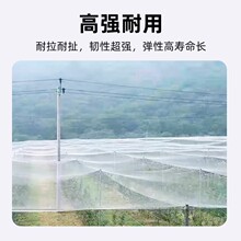 �������B�W��W���@���o�W������������r���Bֳ�~������W�����