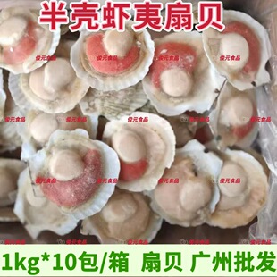 �r����ؐ ���|�뚤����ؐ ������ؐ�������ط۽zؐ���ϟ���ʳ��