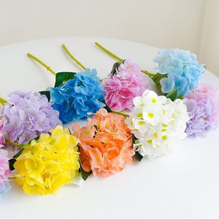 �z��֧С������滨��ܛ�b�Ҿ��Ɍ��zӰ�����b��{ɫ�b��޹�²���