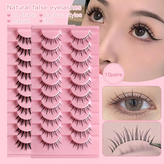 Natural pointed lightweight transparent fishbone false eyelashes with fairy hair, 10 pairs set, wholesale eyelashes