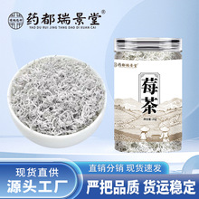 莓茶 张家界莓茶藤茶瓶装茶叶 龙须莓茶 茅岩莓茶 养生产品批发