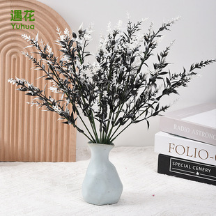 �¿����޹�²��L���Ӻڰ��Rβ�ݼ��~���뻨�����b�С�Ѳ廨�[�O