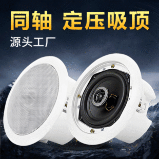 Fixed pressure ceiling speaker 30W public broadcasting coaxial with back cover rear cover speaker fixed pressure ceiling speaker
