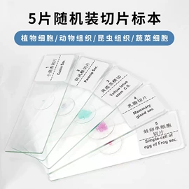 显微镜;光学机具;目镜、物镜