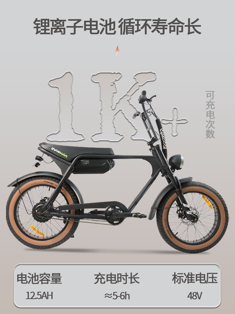 Bicicleta eléctrica transfronteriza LONGWISE 20 pulgadas neumático ancho bicicleta de nieve bicicleta de montaña asistida de doble cilindro freno de cilindro de carretera