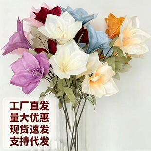 3�^�����m�ٻ����滨�[�O��c�bҾ�ľ�޻��m�����Q�羳�ٺϻ�