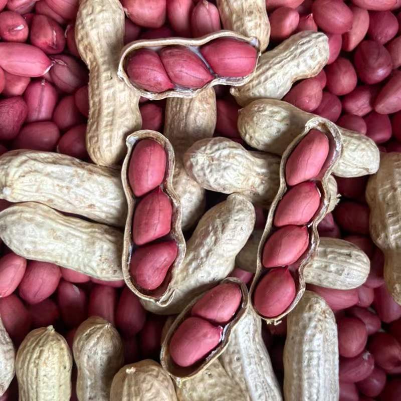 微信图片_20220512211852