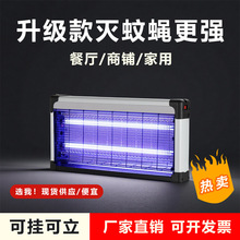 2025�¿���ß���ω���͏d�����Ò젝�nω��׽����