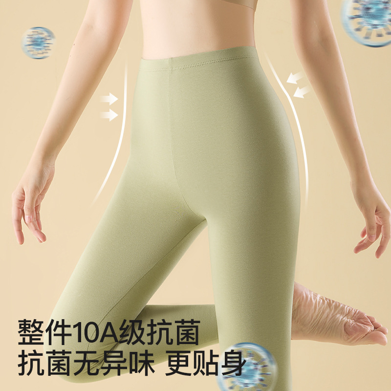 50支纯棉秋裤女士中腰保暖裤薄款内穿大码打底棉毛衬裤线裤秋冬季|undefined