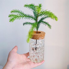 ����ˮ��ֲ���k���҃ȿ͏d����Gֲ�������Է�ݗ��������������ɼ