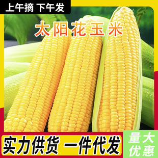 ���r̫ꖻ����׬Fժ1-9������������ˮ�������������������l���]