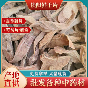 �a�����l�i��r��Ƭ���C�i���ș����ˮ�ݾ����i��r��Ƭ�Ҝ�