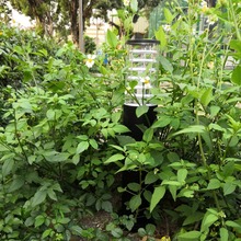 草坪灯led防水带蝶片景观别墅园林草地灯户外工程照明灯庭院路灯