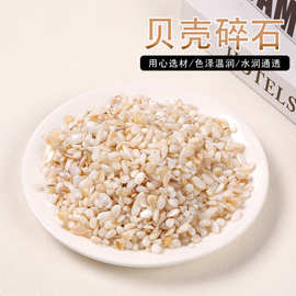 天然贝壳小颗粒碎石 碎石摆件 鱼缸彩石子小石头花盆铺面