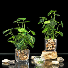 ���l���N���޿͏d�f����پGֲ�b�С�[���߼��б�����滨������