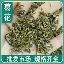 中药葛花 中药葛花品牌 图片 价格 中药葛花批发 阿里巴巴