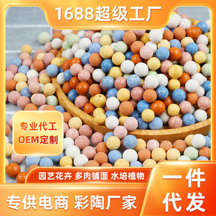 �S�����l���l��ɫ�����B���Gֲ���ʯˮ������͸���������É|����