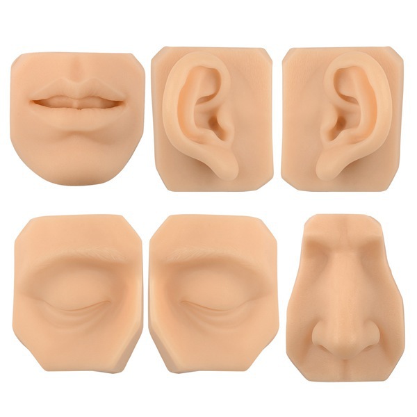 仿真人体五官模型眼睛鼻子耳朵嘴巴模型展示 I500183506
