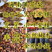 ���ں����S����N�� ӡ����̴С�~��̴��N ��z�ľ����ľ�����