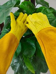 BC Class Ostrich Long-Sleeve Leather Gardening Gloves, Anti-Puncture and Anti-Cut, Rose Garden Welding Work Protective Gloves