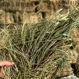 植物性饲料;其他饲料;其他农业