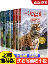 沈石溪动物小说全集全套8册四年级至六年级必读课外书老师推荐读