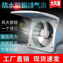 10ͨÏNwÓQŚײϴ͟͟C늙C~Ƭ