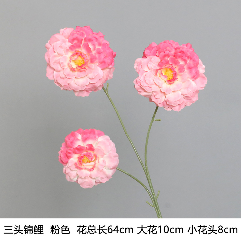 Koi "new arrival recommendation"