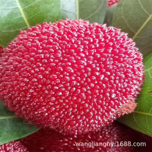 |÷ ڼ޽ӗ÷ شϱNֲY