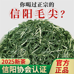 緑茶信陽毛尖バルク 2025 新茶明前春茶ソース高山特級茶 500 グラム卸売