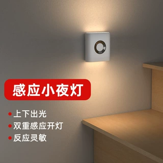 跨境爆款新品感应灯人走灯灭人体感应灯双光充电插电睡觉用小夜灯