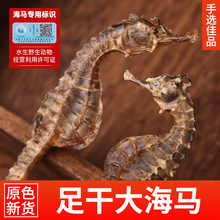 海马干货正宗大海马公母中药材泡酒炖煲汤料三斑水产滋补养生正品