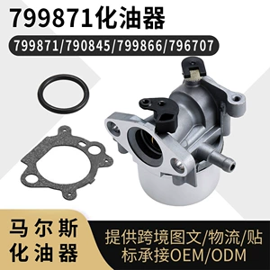 799871 Carburetor for Bs 790845 126m02 799866 796707 Carburetor