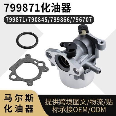 799871 Carburetor for Bs 790845 126m02 799866 796707 Carburetor (Carburetor)
