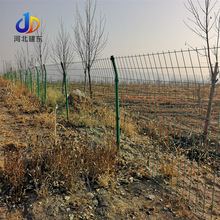 �F؛�BֳȦ���o�ھW���^�@�ְ����F�z���o�W���ٹ�·��·���ھW