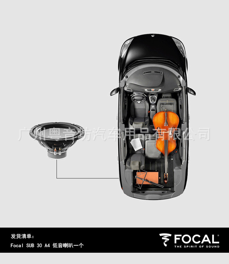 France FOCAL/strong wave SUB 25 A4 car audio subwoofer car 10 inch subwoofer Horn
