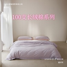 100支新疆长绒棉小宽边磨毛四件套简约被套120x200床笠三件套