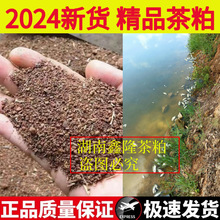 ���ϲ������������ݷ����ˮ�a���s�~�������{ˮ��ˮ�h���坍