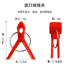 叶仙嫁接夹子夹子圆口方口黄瓜西瓜苗叶仙蟹爪兰嫁接塑料树木