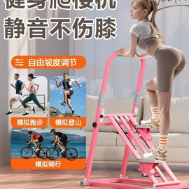 其他健身器材;健腹器;踏步机