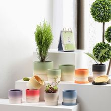 Ͱu׃ɫմɻ؟͸п׎бPֲ¼