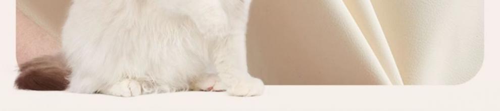 d22799e3-3ef1-4daa-a697-0940abb8ab00.jpe