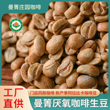 廠家直供原產地采摘阿拉比卡豆雲南精品日曬厭氧咖啡生豆