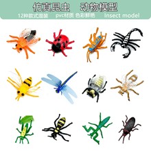 �羳�������x12��С���ͯ����J֪���ģ������С�۷�˱��[��